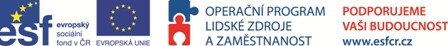 Obr�zek